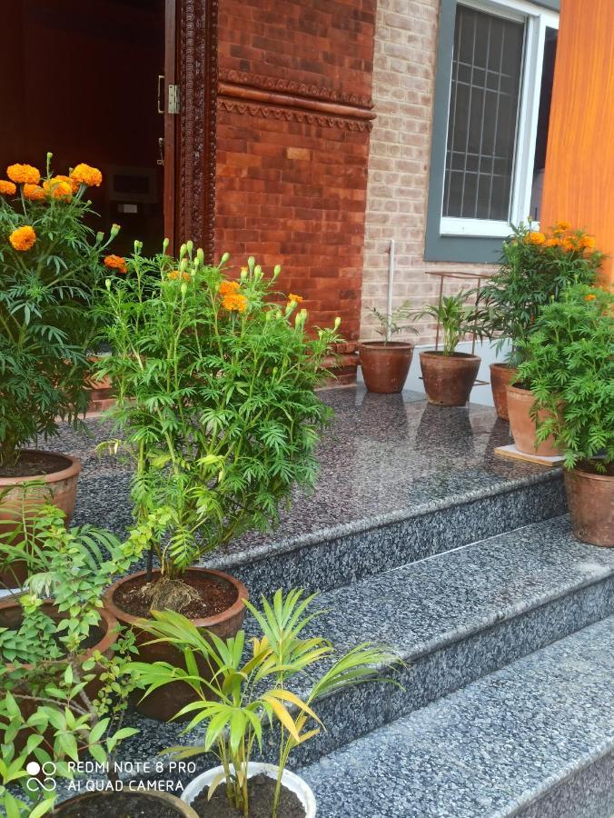 Hotel Namo Buddha Sauraha Kültér fotó